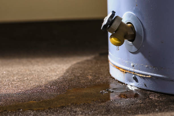 Best Water damage restoration services  in East Rockingham, NC