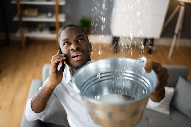 Best Local water damage restoration  in East Rockingham, NC