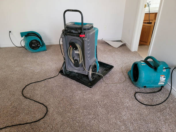 Best Water damage contractors near me  in East Rockingham, NC