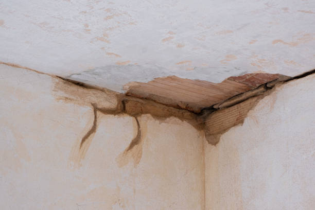 Best Ceiling water damage repair  in East Rockingham, NC