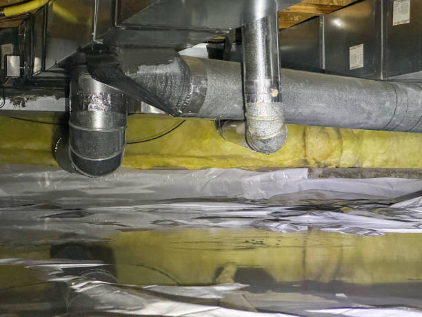 Best Professional water damage repair  in East Rockingham, NC