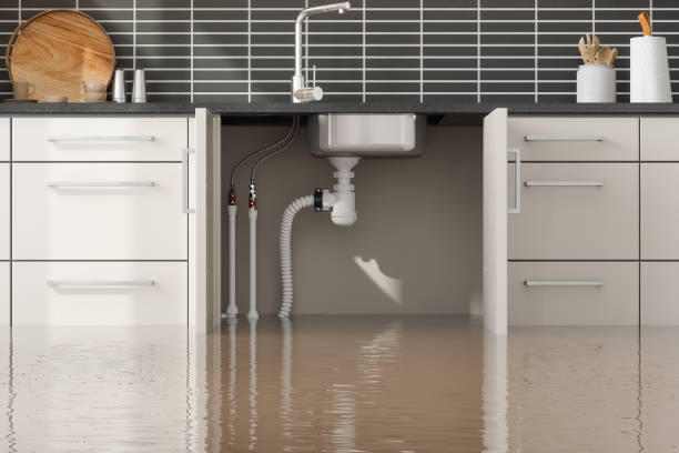 Best Water damage repair service  in East Rockingham, NC