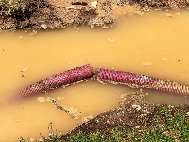 Best Water damage cleanup near me  in East Rockingham, NC